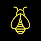 apiculture