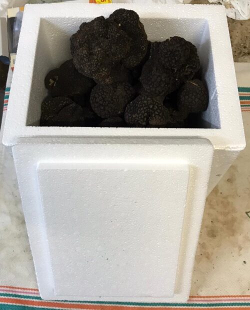 Contenitori per spedizione tartufo 1